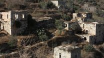 ליפתא (צילום: יונתן זינדל/ פלאש 90).