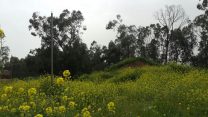 העיר שדרות ומזג האוויר ההפכפך (צילום: דבר ראשון)