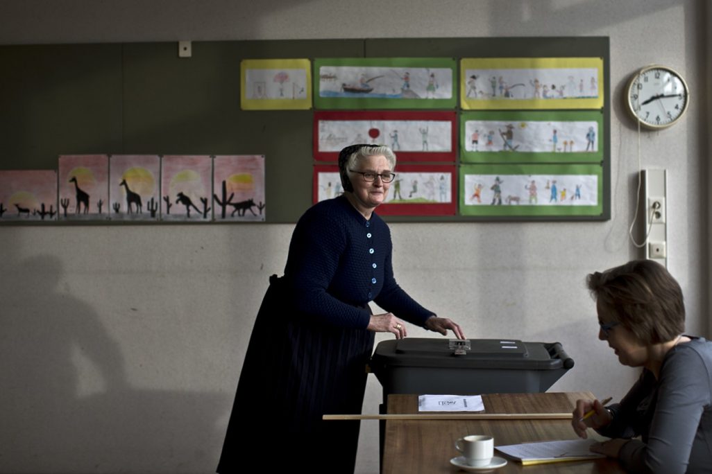 אישה מצביעה בבחירות בהולנד (צילום: AP Photo/Muhammed Muheisen)