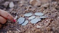 מטמון המטבעות מהתקופה הביזנטית. צילום: יוֹלי שוורץ (באדיבות רשות העתיקות)