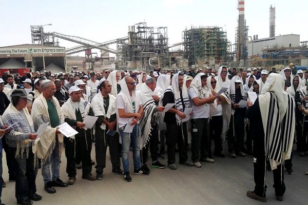 מאות עובדי חיפה כימיקלים התכנסו במפעל דימונה לתפילה המונית לפרנסה (ללא קרדיט).