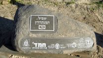 אבן היסוד של השביל (צילום: גלעד צינמון, רשות העתיקות)