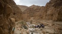 מטיילים בנחל צאלים בדרום (צילום: הדס פרוש/ פלאש 90).
