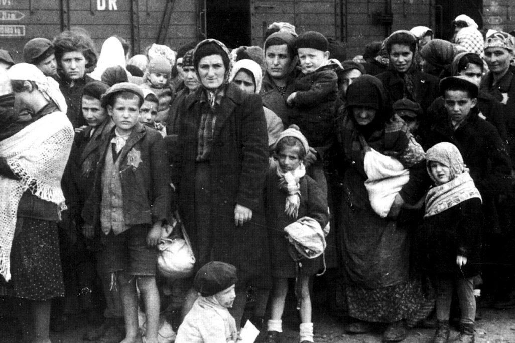 יהודים מהונגריה  לאחר ההגעה לאושוויץ 1944 (צילום:  Ernst Hofmann or Bernhard Walte/ wikimedia).