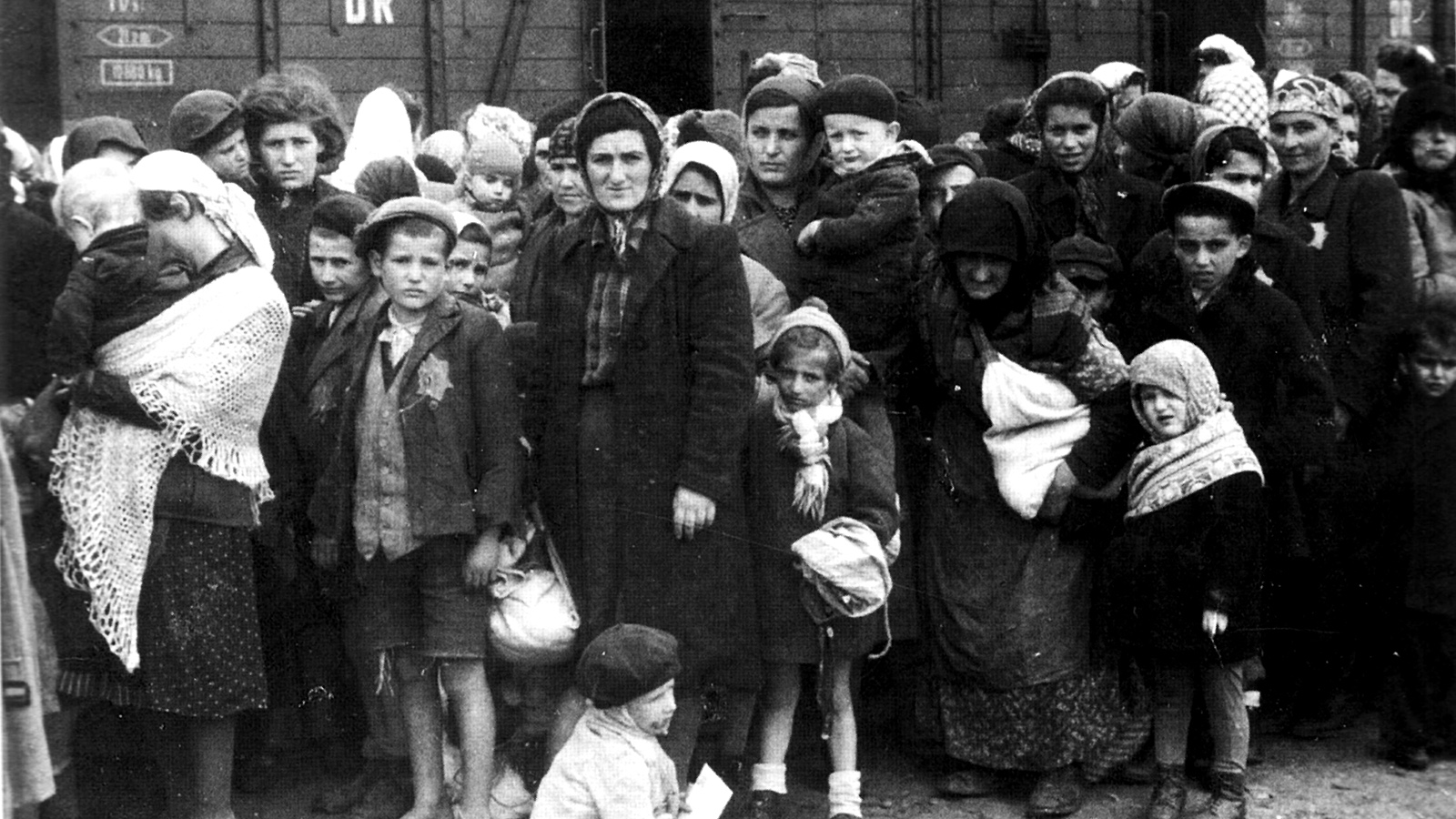 יהודים מהונגריה לאחר ההגעה לאושוויץ 1944 (צילום: Ernst Hofmann or Bernhard Walte/ wikimedia).