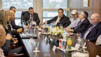 מדליקי המשואות השנה בפגישה עם יו"ר הכנסת יולי אדלשטיין (צילום: יונתן זינדל/ פלאש 90).