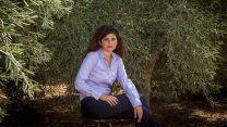 חברת הכנסת, שרן השכל, תקווה חדשה (צילום: מרים אלסטר / פלאש 90).