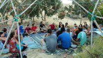 'בוסתן במדבר' בפתחת ניצנה (צילום: דבר ראשון)