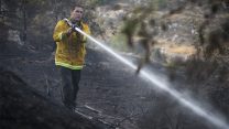 כבאי מכבה שריפה במבשרת ציון, יוני 2016. (צילום: הדס פרוש/ פלאש 90).