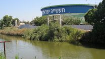 בז"ן ליד הקישון (צילום: ארז רביב)