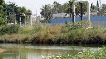 נחל הקישון (צילום ארכיון: ארז רביב)