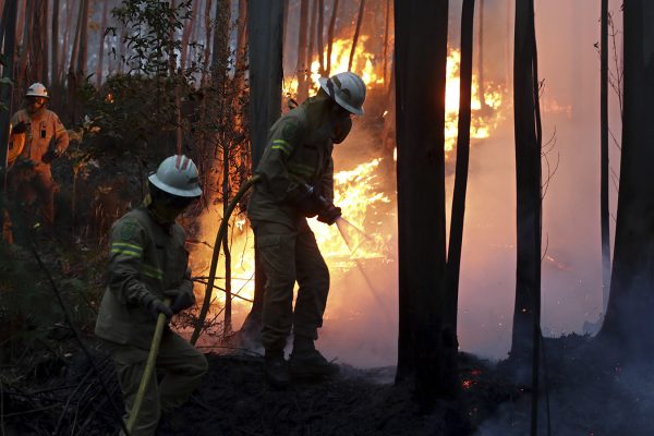 כבאים מכבים שריפת יער סמוך לכפר במרכז פורטוגל, היום (צילום: AP Photo/Armando Franca).