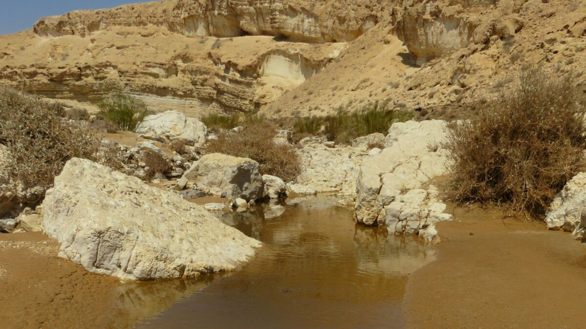 Cisterns along Ashalim creak (Photograph: Boaz Perifeld, Nature and Parks Authority)