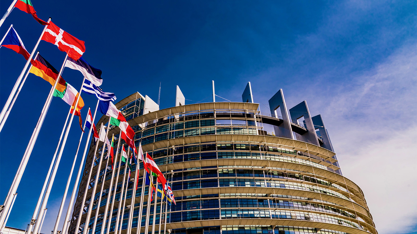 בניין הפרלמנט האירפואי ודגלי המדינות החברות בו (צילום: DiegoMariottini / Shutterstock.com).