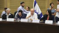 הדיון על שיטת הסניוריטי בוועדת החוקה (צילום: יצחק הררי, דוברות הכנסת)