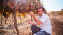 יעקב ברג, הבעלים של יקב פסגות (צילום: דיויד קירן)