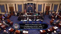 הצבעת הסנאט האמריקאי (צילום: C-SPAN2 via AP).