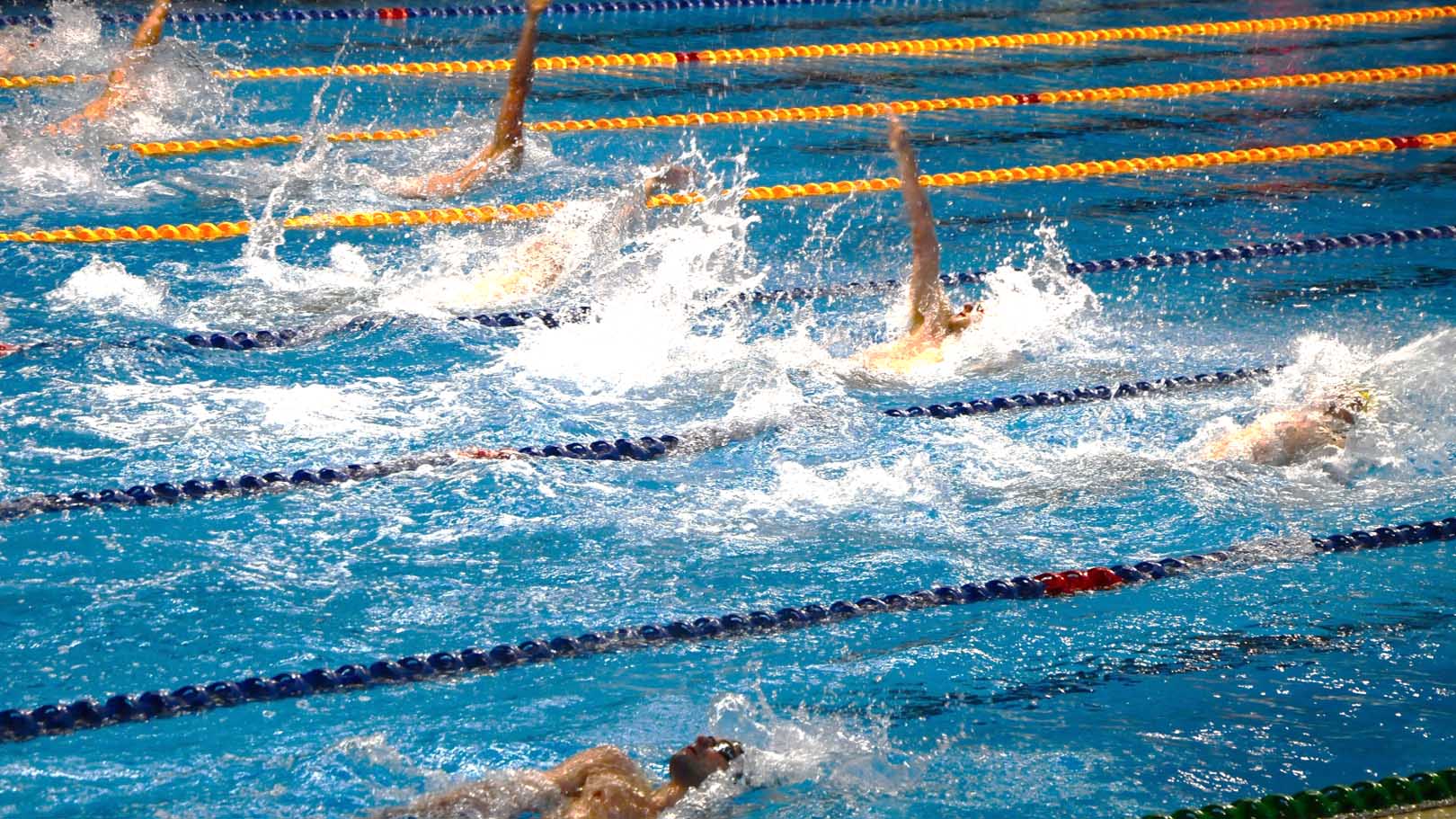מתחרי 100 מ' חופשי בגביע איגוד השחייה הישראלי (צילום: יאיר צוקר)