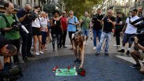 מניחה פרחים ב׳לה ראמבלה׳ (AP Photo/Manu Fernandez).