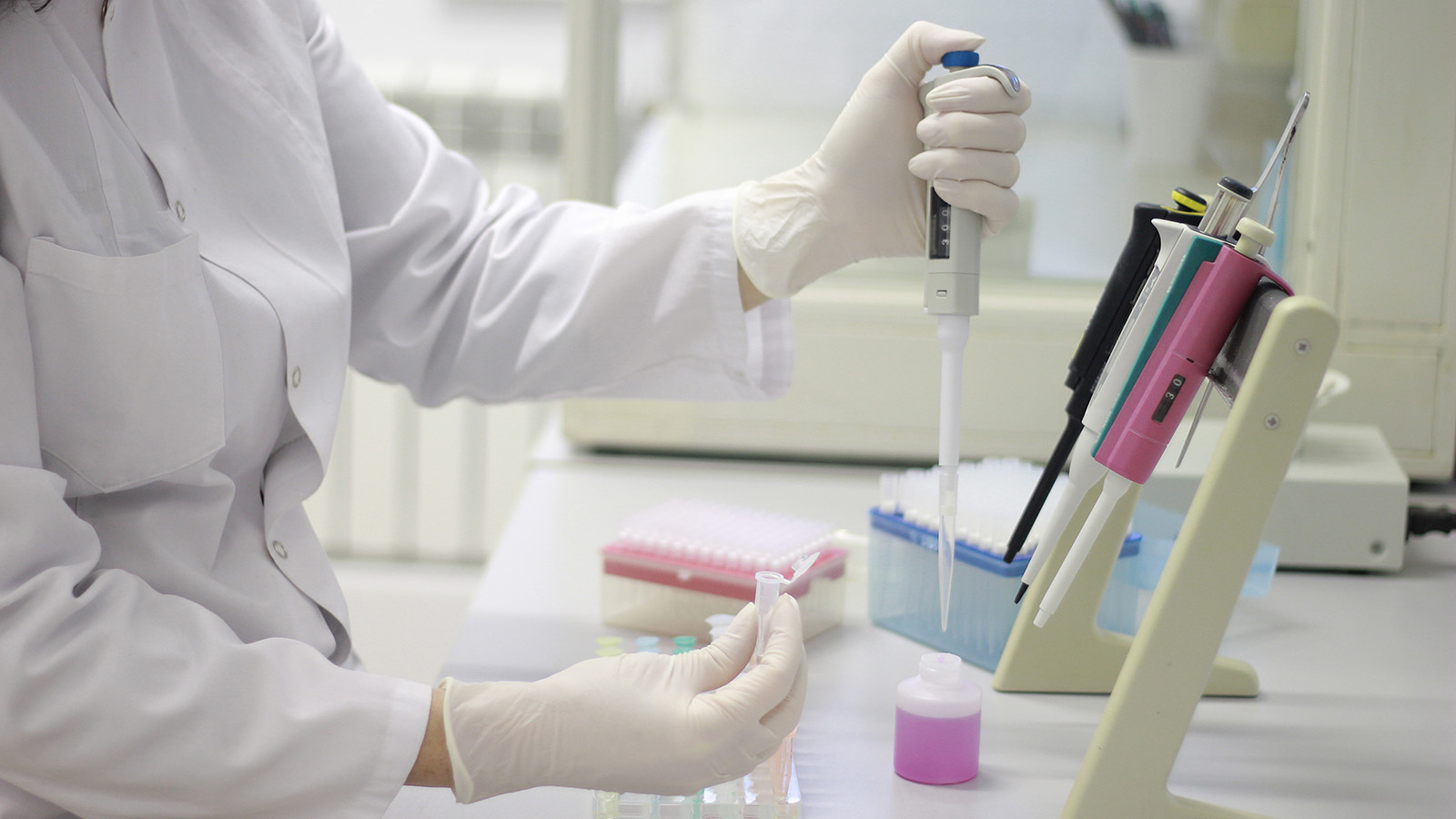 מעבדה לחקר סרטן (צילום אילוסטרציה: Shutterstock).