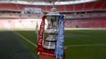 גביע ה FA Cup, ליגת הכדורגל האנגלית  (AP Photo/Matt Dunham)