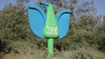 ציפור קק"ל ביער קק"ל (צילום: אליעזר ויסהוף/ ויקימדיה)