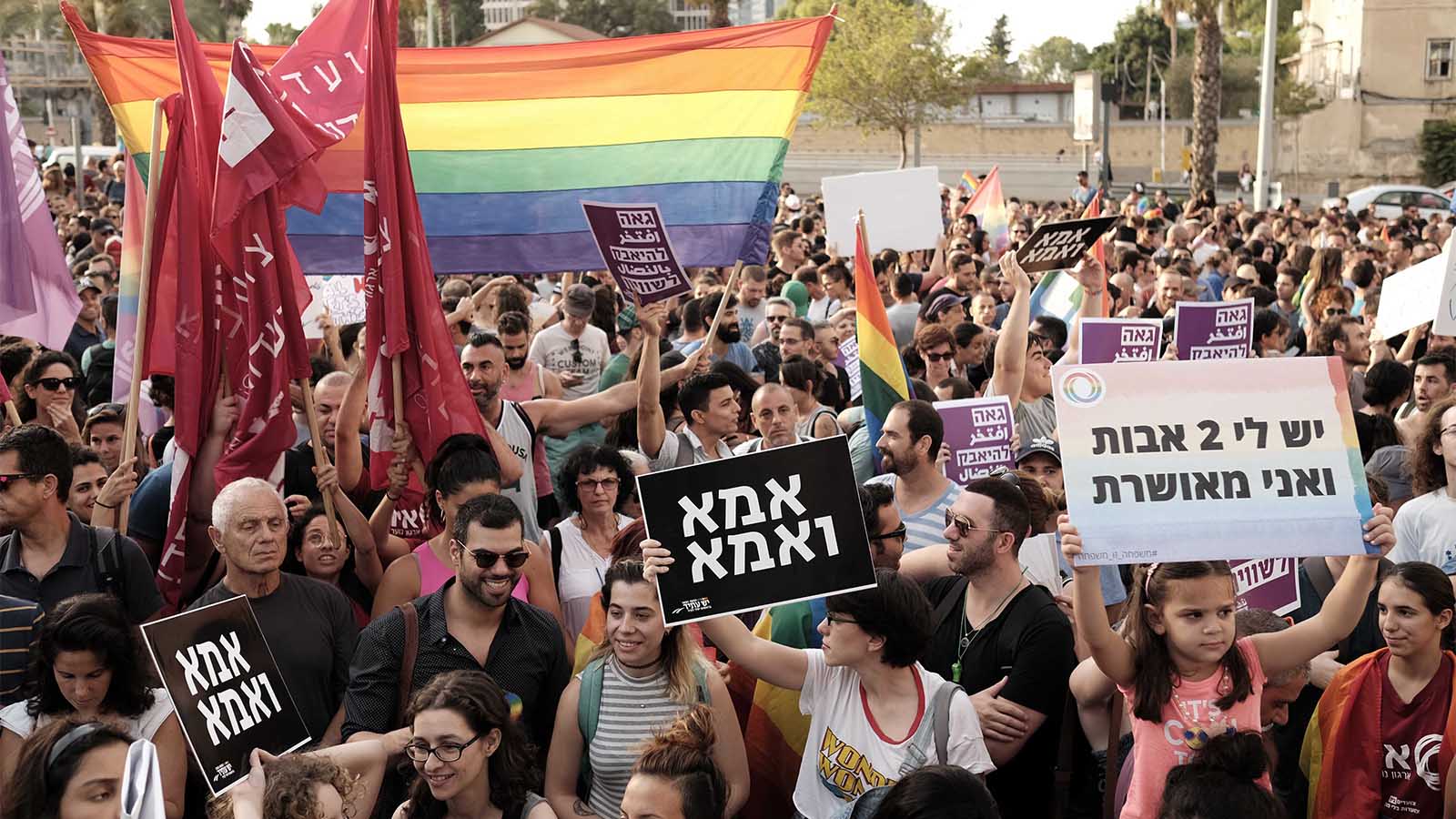 הפגנה בעד זכות האימוץ להורים להטב&quot;קים בתל אביב 21 ביולי (צילום: תומר ניוברג/ פלאש 90)