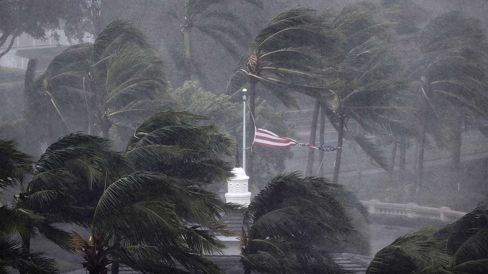 הוריקן ״אירמה״ מכה בפלורידה (צילום: AP Photo/David Goldman)