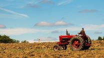 חקלאי. חיייבים לגוון את מקורות הגידולים החקלאיים שלנו. (צילום: Nicolas Barbier Garreau on Unsplash)