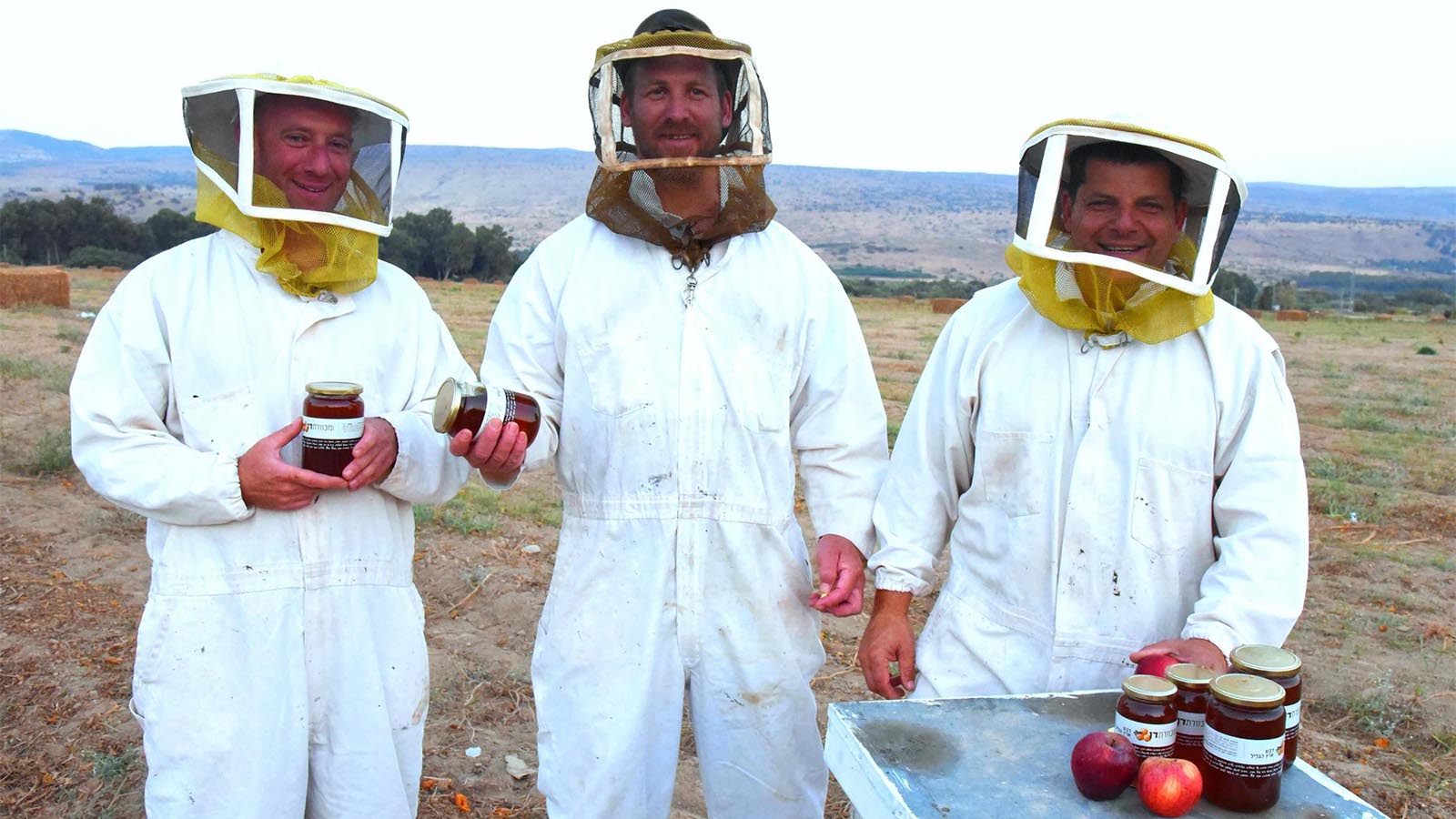 דבוראים ודבש (צילום באדיבות מועצת הדבש)
