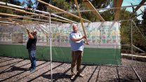 ישראלים בונים סוכה לקראת חג הסוכות (צילום: גרשון אלינסון/ פלאש 90)