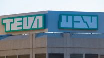 מפעל טבע (צילום: photobyphm / Shutterstock).