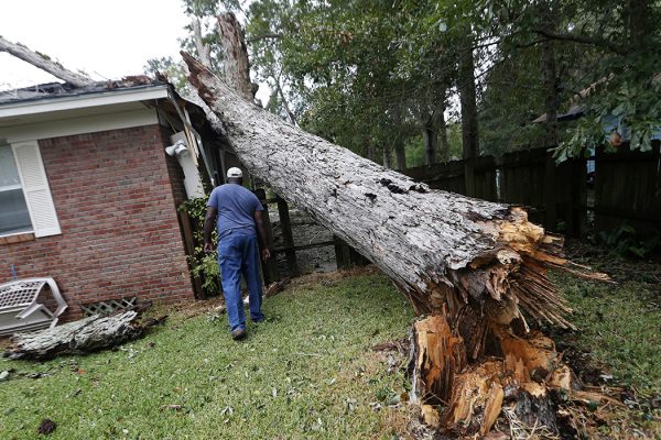 נזקי הוריקן נייט במיסיסיפי (צילום: AP Photo/Gerald Herbert).
