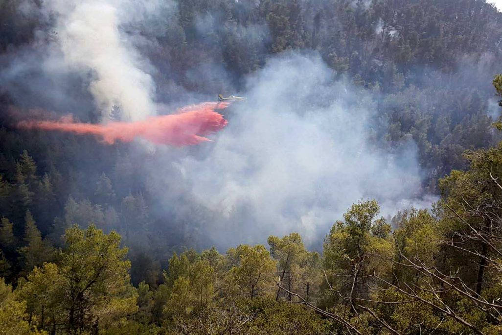 השריפה באזור הסטף 27 באוקטובר 2017 (צילום: מנחם פריד רשות הטבע והגנים).