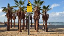 שלטי האזהרה מפני צונאמי בחופי תל אביב (צילום: אריאל חרמוני, משרד הביטחון)