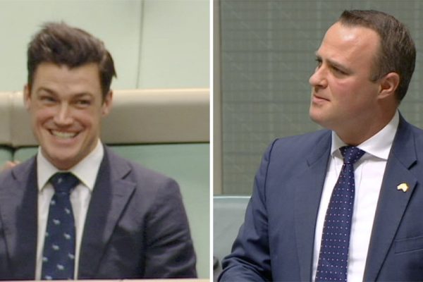 טים ווילסון (מימין), חבר פרלמנט מהמפלגה השמרנית באוסטרליה, ובן זוגו ראיין בולגר, לו הציע ווילסון נישואים במהלך דיון בפרלמנט. (צילום: Parliament TV via AP)