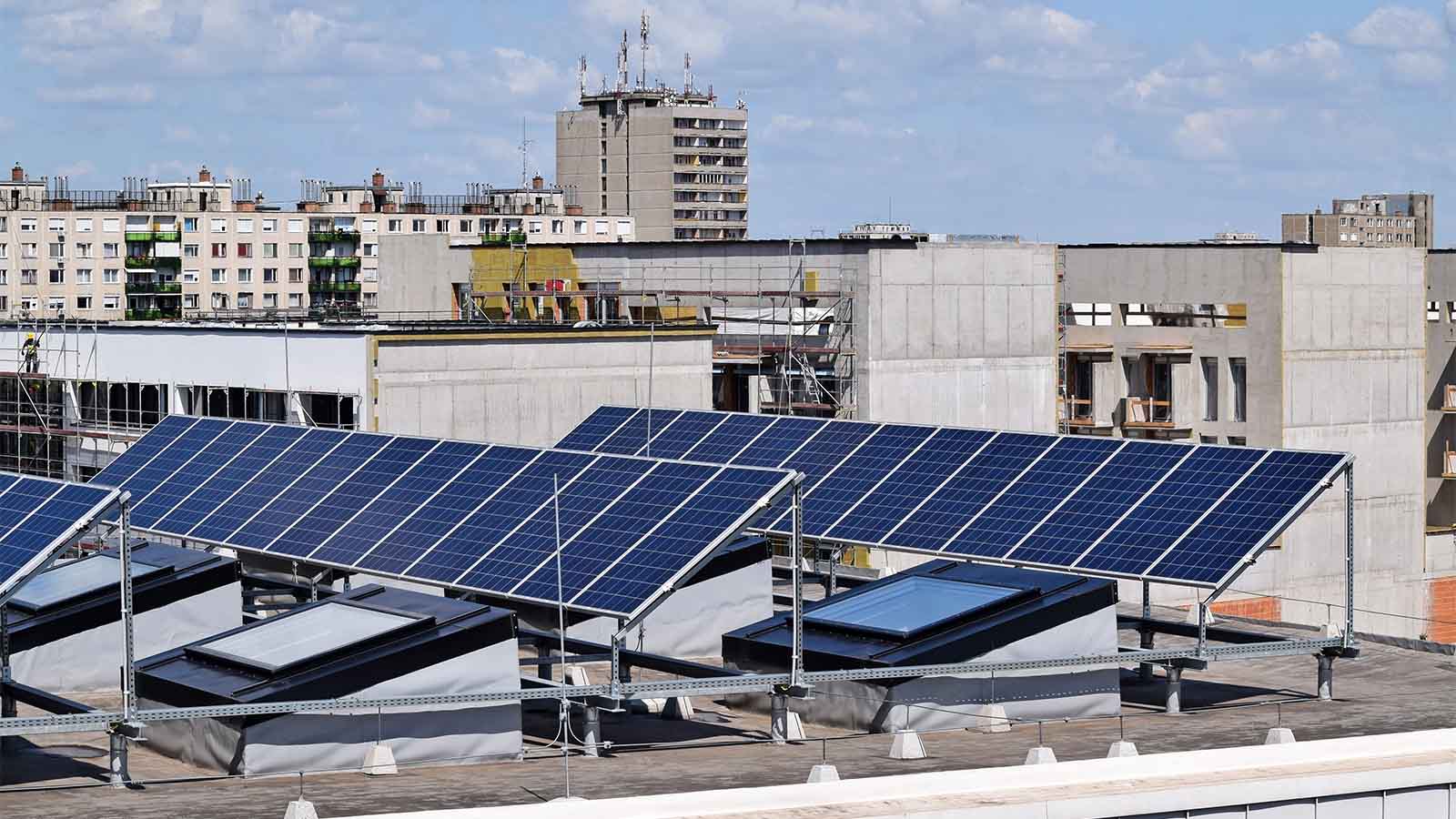 פאנלים סולאריים על הגגות. האם נצליח להגיע בתוך פחות משלוש שנים לאספקה של כ-1,600 מגה-ואט נוספים של אנרגיית שמש?(צילום אילוסטרציה: Shutterstock)