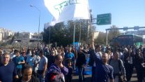 הפגנת עובדי טבע בירושלים (צילום: דוד טברסקי).
