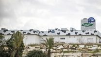 מחלבת טרה בנתיבות (צילום: נתי שוחט / פלאש 90).