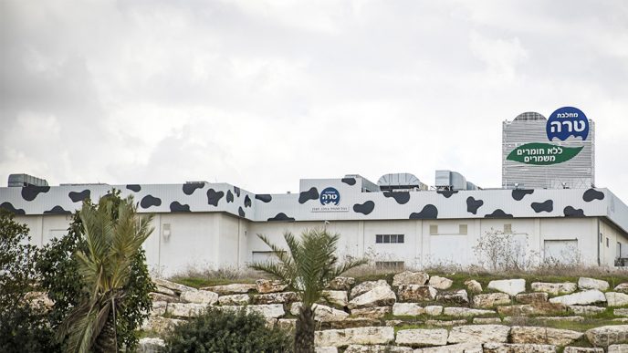 מחלבת טרה בנתיבות (צילום: נתי שוחט / פלאש 90).