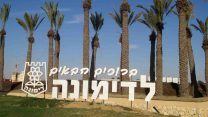 הכניסה לדימונה (צילום:  דר' אבישי טייכר, מתוך אתר פיקיויקי)