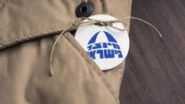 תוצרת כחול לבן, אילוסטרציה (צילום: Shutterstock)