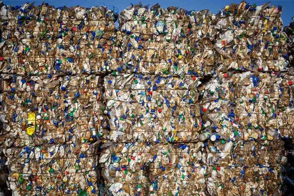חבילות של בקבוקי פלסטיק למחזור מוכנות למשלוח (צילום: Shutterstock)