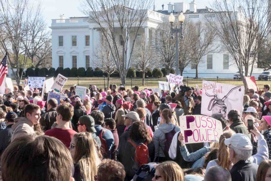 הפגנות נשים מול הבית הלבן במחאה על מדיניות הנשיא טראמפ (צילום: bakdc / Shutterstock.com)