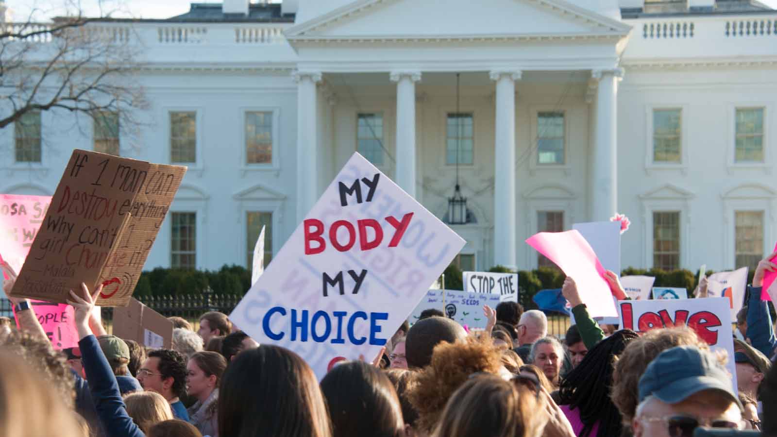 הפגנות נשים מול הבית הלבן במחאה על מדיניות הנשיא טראמפ (צילום: Rena Schild / Shutterstock.com)
