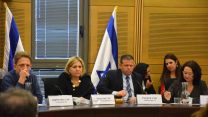 ועדת חקירה פרלמנטרית על הלווים הגדולים ועדת פישמן (צילום: עמר כהן)