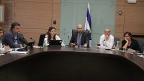 הדיון בוועדה המשותפת לוועדת הכנסת וועדת חוקה, חוק ומשפט על חוק הלאום. 13 במרץ (צילום: יצחק הררי, דוברות הכנסת)