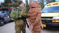 תמונות מפעילות כוחות צהל הלילה (צילום: דובר צה"ל).