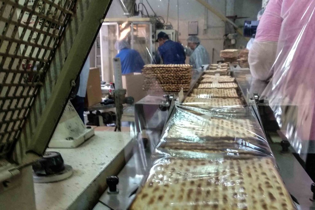תהליך הייצור של מצות (צילום: יעל אלנתן) תהליך הייצור של מצות (צילום: יעל אלנתן)