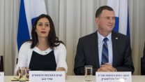 אדלשטיין ורגב (יונתן זינדל  פלאש90)